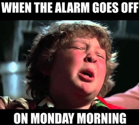 Monday Morning Meme, Funny Monday Memes, Monday Morning Quotes, I Hate Mondays, Morning Memes, Monday Memes, Monday Humor, 9gag Funny, Monday Inspiration