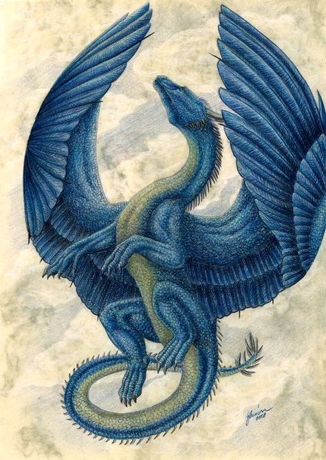 Saphira Dragon Tattoo, Saphira Dragon, Eragon Fan Art, Eragon Saphira, Inheritance Cycle, Robin Hobb, Yin Yang Tattoos, Dragon's Lair, Cool Dragons