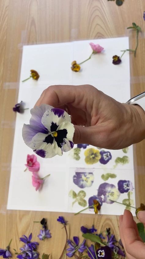 HammerFlower on Reels | Eluzai · continue? Hammered Flowers, Dried Flowers Crafts, Pressed Flowers Diy, Dried Flowers Diy, Flowers Cards, Pressed Flower Crafts, Diy Crafts Paper Flowers, Pressed Flower Art, Nature Crafts