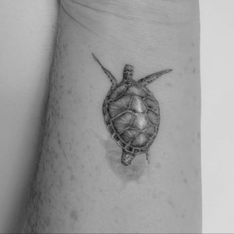 Sea Turtle Shadow Tattoo, Turtle With Shadow Tattoo, Turtle Shadow Tattoo, Turtle Swimming Tattoo, Tattoo With Shadow, Tattoo Turtle, Tats Ideas, Swimming Tattoo, Healed Tattoo