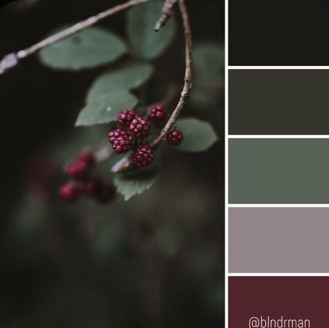 Dark Botanical Color Palette, Maroon And Green Aesthetic, Green Maroon Color Palette, Mulberry Colour Palette, Color Schemes With Burgundy, Green And Burgundy Kitchen, Dark Maroon Color Palette, Green And Maroon Bedroom, Green And Maroon Living Room