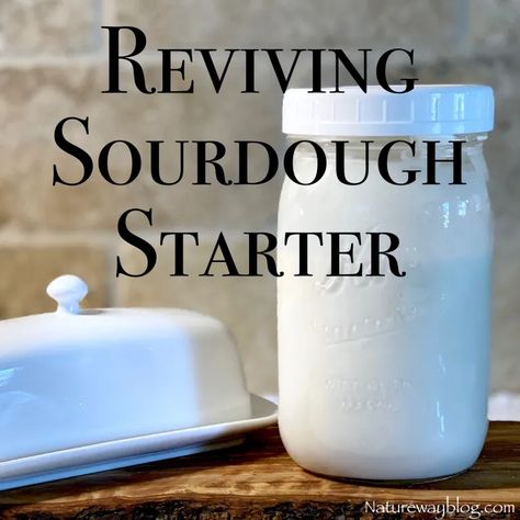 How To Revive & Strengthen A Sourdough Starter - Nature Way Rye Sourdough Starter, Mediterranean Meatballs, Starter Cultures, Sourdough Starter Recipe, Chicken Gyros, Starters Recipes, Sourdough Recipes, Family Favorite Meals, Sourdough Starter