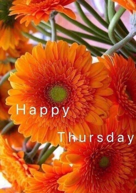 Happy Thursday! Remember to stay hydrated this Thirsty Thursday! 🌞 Good Morning Thursday Flowers, Happy Thursday Images Beautiful, Happy Thursday Pictures, Happy Thursday Morning, Happy Thursday Images, Good Morning Sister Quotes, Thursday Greetings, Good Morning Happy Thursday, Good Morning Sister