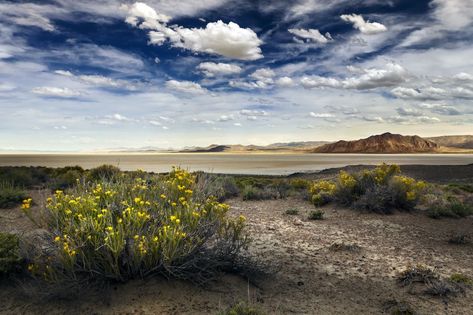 12 incredible places to hit on your Northern Nevada road trip Northern Nevada, Great Basin National Park, Black Rock Desert, Lake Mead, The Vegas, High Mountain, Valley Of Fire, Downtown Las Vegas, Alpine Lake