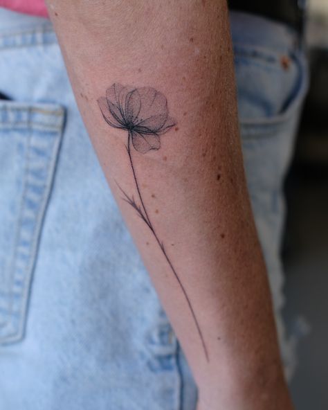 #handpoked poppy flower done at @namestattoo Line Poppy Tattoo, Fine Line Poppy, Fine Line Poppy Tattoo, Poppy Tattoo, Poppies Tattoo, Fine Line, Poppy Flower, Poppies, Tattoo Ideas