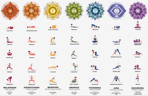 7 Chakras Yoga Poses, Sacral Chakra Yoga, Hata Yoga, Chakra Healing Meditation, Chakra Health, Yoga Facts, Yoga Lessons, Yoga Poster, Daily Yoga Workout