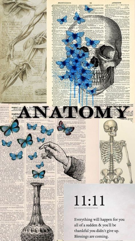 For those who want a cute cover for their binders for anatomy class 🫀 Cute Cover, Anatomy And Physiology, Binders, Anatomy