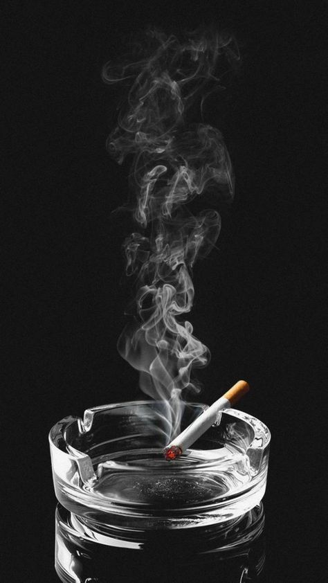 cig and ashtray wallpaper by DARK WALLS - 17 - Free on ZEDGE™ Ciggaretes Wallpapers, Cigerate Wallpaper, Wallpaper Smoker Aesthetic Dark, Cigratte Smokers Wallpaper, Cigratte Wallpaper, Full Black Wallpaper, Around The World Cruise, Cow Print Wallpaper, Iphone Black