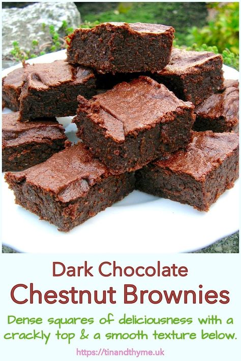 Dense chocolatey squares of deliciousness that taste of both chocolate and chestnuts. These chestnut brownies have crisp tops followed by deep dark smoothness below. A quick and easy one pan method that leaves little in the way of washing up. #TinandThyme #ChocolateBrownies #ChestnutBrownies #ChestnutRecipes #ChocolateChestnut Chestnut Puree Desserts, Chocolate Chestnut Cake, Chestnut Dishes, Chestnut Desserts, Chestnuts Recipes, Chestnut Recipes Desserts, Chestnut Recipes, Ganache Recipe, Chocolate Fondant