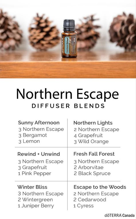 Northern Escape Doterra, Doterra Northern Escape, Doterra Oils Recipes, Doterra Diffuser, Siberian Fir, Doterra Diffuser Blends, Doterra Oil, Doterra Essential Oils Recipes, Essential Oil Diffuser Blends Recipes