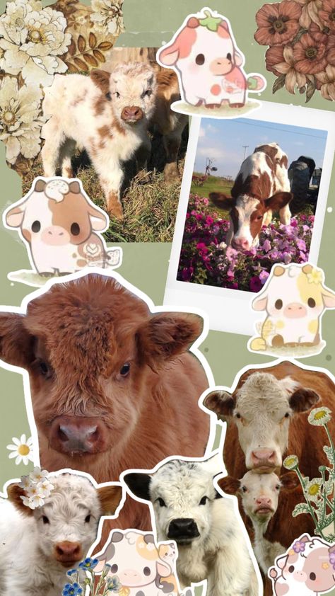 Cow Themed Wallpaper, Mini Cow Wallpaper, Cow Aesthetic Wallpaper Iphone, Cute Cow Wallpaper Iphone, Cute Cow Wallpapers, Cow Phone Wallpaper, Cute Cow Wallpaper, Highland Cow Wallpaper, Miniture Cows