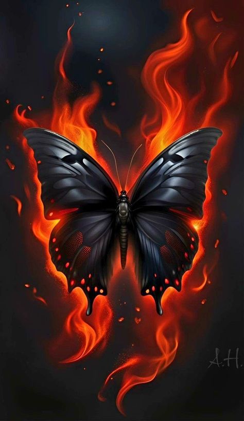 Black Flowers Wallpaper, Black Roses Wallpaper, Font Tattoo, Beautiful Butterfly Pictures, Glittery Wallpaper, Dark Fantasy Artwork, More Tattoo, Flowers Images, Butterfly Wallpaper Backgrounds