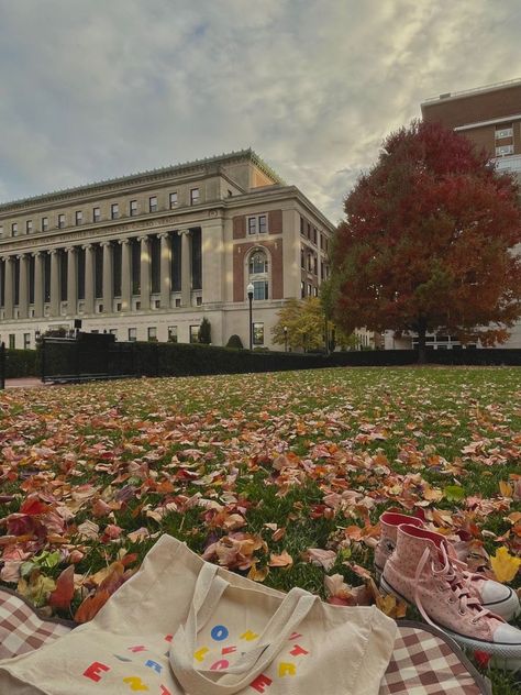 Colombia Law School, New York Columbia University, Aesthetic Columbia University, Colombia University New York, Columbia Law School Aesthetic, Columbia University Campus, American University Aesthetic, Barnard College Aesthetic, Columbia University Dorm