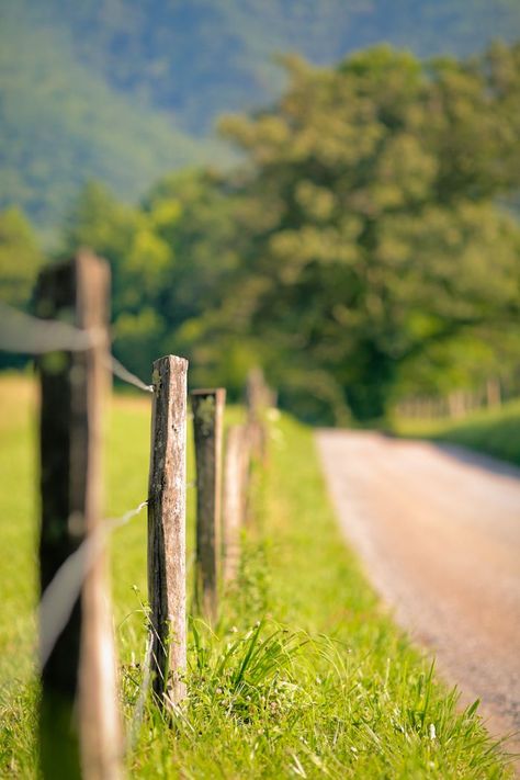 Green Screen Background Images Sm Picture, Bandage Png, Pubg Lover, This Side Of Paradise, Rustic Fence, Country Lane, Photoshop Digital Background, Blurred Background Photography, Green Screen Background Images