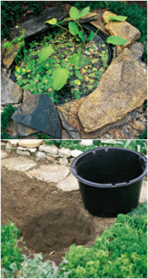 DIY Sunken Mini Pond Tiny Pond Diy, Micro Pond, Diy Mini Pond, Mini Water Garden, Backyard Water Feature Diy, Mini Garden Ideas, Tiny Pond, Water Garden Ideas, Small Water Gardens