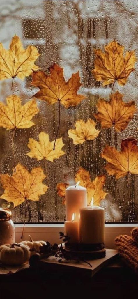 Thanksgiving Wallpaper, Autumn Rain, Autumn Magic, Autumn Scenes, Autumn Scenery, Autumn Beauty, Autumn Cozy, Autumn Aesthetic, Fall Wallpaper