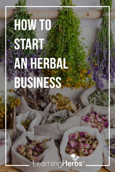 Herb Business Ideas, Herb Preservation, Selling Herbs, Herbalism For Beginners, Herbal Business, How To Become Confident, Herbal Education, Herb Shop, Bulk Herbs