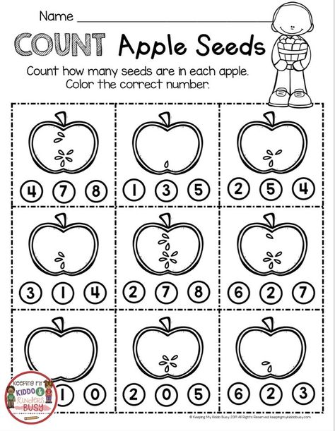 COUNTING APPLES - kindergarten and first grade math worksheet - counting apple seeds - all about apples - first week of kindergarten - apple printables and worksheets #kindergarten #kindergartenmath #apples Apple Curriculum Kindergarten, Small Group Apple Activities, Apple Measuring Preschool, Counting Apples Free Printable, Apple Seed Counting Preschool, Apples Math Activities Preschool, Apple Math Centers Kindergarten, Johnny Appleseed Worksheets, Apple Color By Number