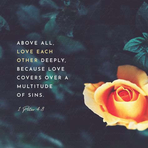 Above all, love each other deeply, because love covers over a multitude of sins. Bible Verse About Love, Verse About Love, 1 Peter 4 8, 1 Peter 4, Verses About Love, Bible Verses About Love, Intense Love, Love Cover, Bible Plan