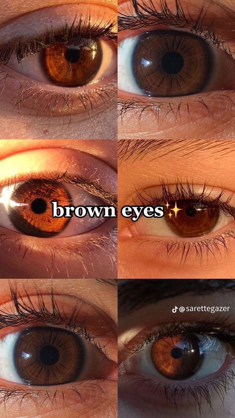 Pretty Eyes Color, Brown Eyes Aesthetic, Eye Color Chart, Beautiful Eyes Color, Not Aesthetic, Dark Brown Eyes, Aesthetic Eyes, Gorgeous Eyes, Hazel Eyes