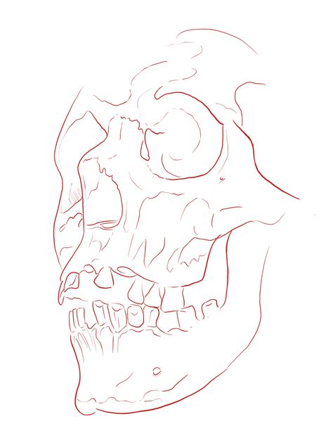 Sewed Mouth Drawing, Skull With Mouth Open, Skull Tattoo Outline, Skull Tattoo Stencil, Skull Tattoo Sketch, Horror Reference, Salmon Drawing, Skull Outline, Skull Drawing Sketches