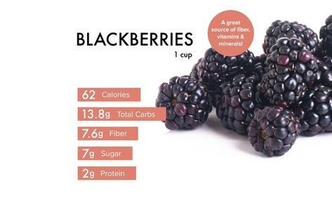 Blackberry Nutrition Facts, Blackberry Benefits, Healthy Syrup, High Fiber Fruits, How To Freeze Blackberries, Watermelon Health Benefits, Fiber Fruits, Blackberry Recipes, Healthier Habits