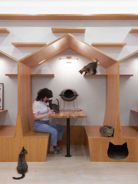 The interior of Meow Parlour, a modern cat cafe in New York. Cafe Area Design, Cafe In New York, Cats And Humans, Pet Cafe, E Ink Display, Handmade Cat Toys, Camping With Cats, Animal Rescue Center, Cafe Seating