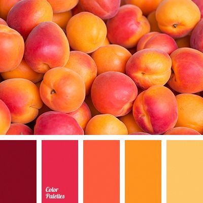 Analogue Color Scheme, Mango Color Palette, Orange Color Palettes, Color Palette Yellow, Color Schemes Colour Palettes, Fall Color Palette, Color Palate, Design Seeds, Color Palette Design