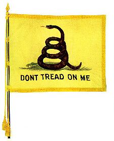 Revolutionary Road, Southern Men, American Military History, Gadsden Flag, Superstition Mountains, Don't Tread On Me, Hand To Hand Combat, United States History, Us History