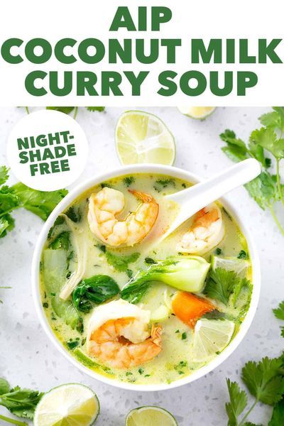 Hoshimotos Diet, Paleo Stew, Paleo Soup Recipes, Aip Soup, Paleo Soup Recipe, Thai Flavors, Aip Protocol, Inflammatory Meals, Milk Soup