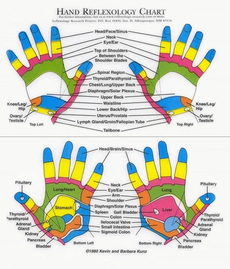 Hand Reflexology Chart I love this chart! I will be presenting to the Chandler Senior Center on How to Stay Healthy with Hand Reflexology. A High 5 for Health !!! Reflexology Chart Pressure Points, Autogenic Training, Hand Reflexology, Reflexology Chart, Reflexology Massage, Foot Reflexology, Pressure Points, Pranayama, Reflexology