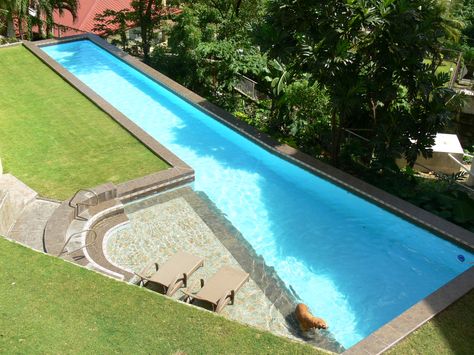 Lap Pools Backyard, Lap Pool Designs, Pool Cost, Small Swimming Pools, Pool Backyard, Small Pool Design, Backyard Pool Landscaping, Small Pools, Dream Pools