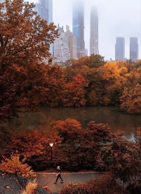 Rainy Central Park, New York Facts, Fall Fashion College, Fashion Trends Aesthetic, Dylan Walker, Fall Nails Halloween, Fall Wallpaper Iphone, Aesthetic Autumn Outfits, Fall Core