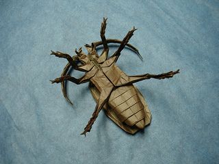 Titan Beetle | A photo of the beetle's underside. Designed … | Flickr - Photo Sharing! Beetle Reference, Entomology Collection, Origami Artist, Educational Games For Kids, Insect Art, Weird Creatures, Nature Crafts, Paper Sculpture, Pretty Tattoos