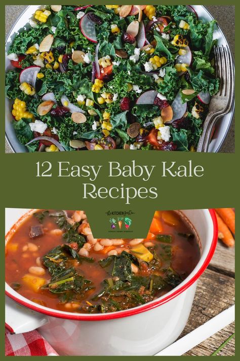 If you’re looking for a way to add more leafy greens to your diet, baby kale is a great option. It’s mild in flavor and very versatile, which means it can be used in a variety of recipes. Here are 10 of my favorite baby kale recipes with you. These recipes are all easy to follow and require minimal ingredients whether you’re wanting to use raw kale or cooked kale. So, if you’re looking for some new and delicious ways to enjoy tender baby kale, look no further! Baby Kale Recipes, Kale Side Dish, Cooked Kale, Baby Kale Salad, Winter Salads, Seasonal Veggies, Winter Salad Recipes, How To Cook Kale, Salad Inspiration