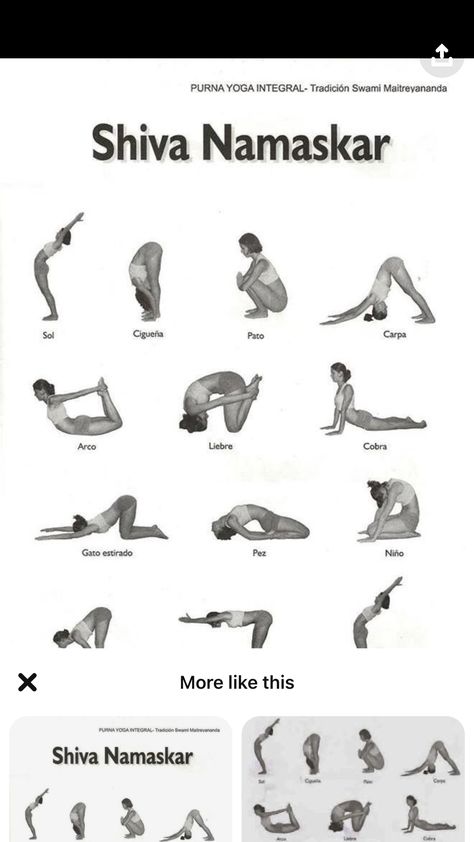 Yoga After Eating, Beginning Yoga Poses, Sanduhrfigur Training, Chandra Namaskar, Sala Yoga, Hata Yoga, Integral Yoga, Yoga Flows, Yoga Facts