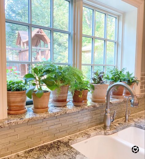 Kitchen Window Decor Over Sink, Window Ledge Ideas, Kitchen Window Decor, Elevated Bed, Plant Window, Window Ledge, Over Sink, Kitchen Refresh, Kitchen Window