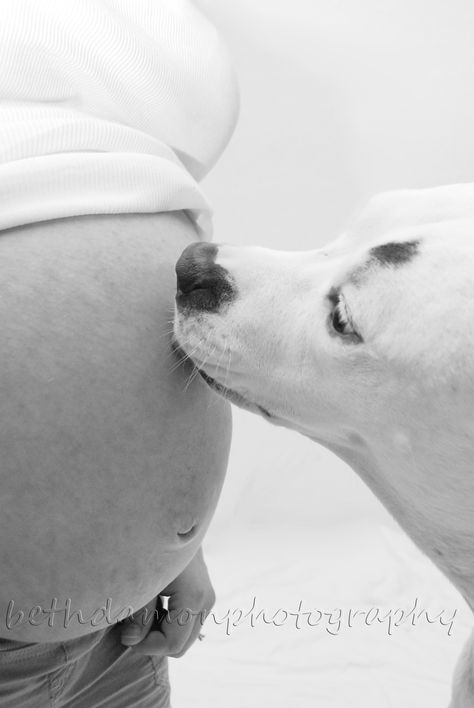 Dog kissing baby bump...going to make my dogs do this...lol Maternity Shoot Dog, Maternity Dog Photoshoot, Bump Photoshoot, Bump Photography, Baby Bump Photoshoot, Baby Bump Pictures, Bump Pictures, Pregnancy Photos Couples, Maternity Photography Poses Pregnancy Pics