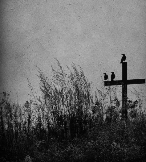 #crows #cross Southern Gothic Aesthetic, American Gothic, Southern Gothic, Gothic Aesthetic, Six Feet Under, A Cross, Black Aesthetic, Dark Aesthetic, Dark Art