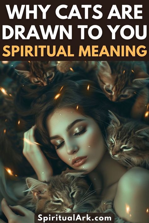 at the top of this post is the title that says, "why cats are drawn to you, spiritual meaning", at the center of this post is a photo of a beautiful woman surrounded by cute cats, and at the bottom of this post is the website source which is "SpiritualArk.com" Cat Symbolism, Cat Spirit, Spiritual Animal, Mean Cat, Magic Cat, What Cat, Animal Symbolism, Angry Cat, Witch Cat