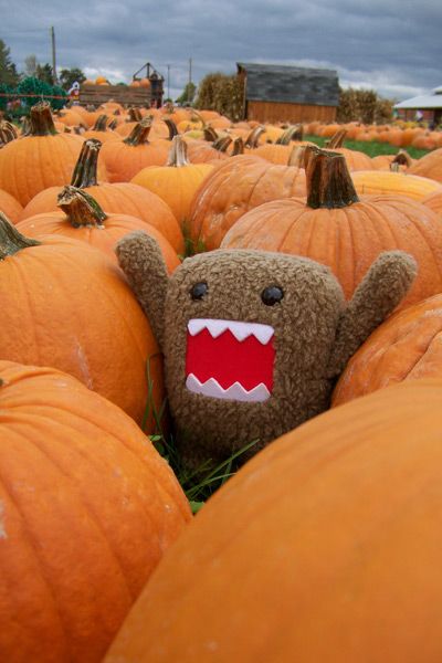 It's DOMO!!!!  Getting excited for the upcoming holiday Thanksgiving. Domo Kun Wallpapers, Gloomy Bear Halloween, Spooky Dooky, Silly Plushies, Sweet Potato Pecan Pie, Domo Kun, Weird Toys, 2013 Swag Era, Charmmy Kitty