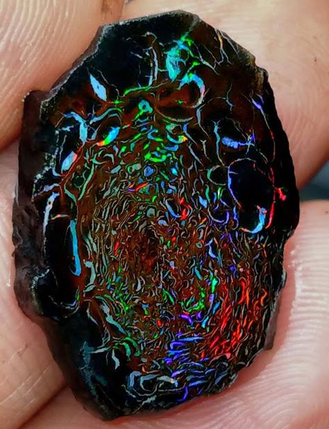 daily timewaster: Yowah Opal ''rune'' from the deserts of the Australian outback Kangaroo Island, Matrix Opal, Yowah Opal, Pretty Rocks, Beautiful Rocks, Minerals And Gemstones, Rocks And Gems, Gems And Minerals, Boulder Opal