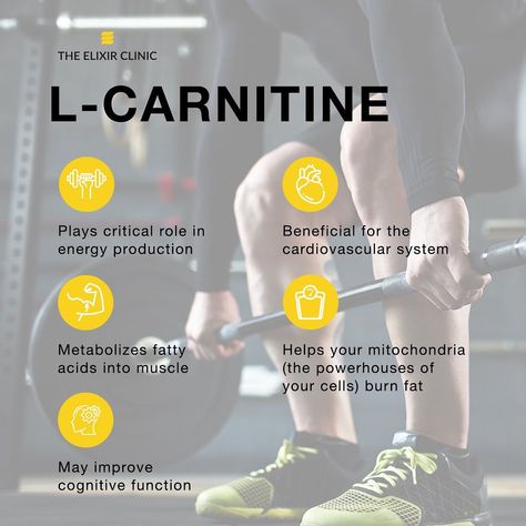 Acetyl L Carnitine Benefits, Acetyl L Carnitine, L Carnitine, Benefits Of Lysine, L Carnitine Benefits Women, L Theanine And Caffeine, Carnitine Benefits, Benefits Of L-carnitine, Glutathione Benefits