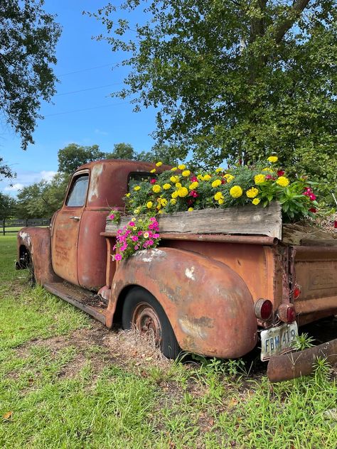 An old rusted truck with a flat tire is used as a flower planter, holding a wooden box filled with colorful flowers. The truck is parked on grass with trees in the background, making it one of the best places to visit in Thoroughbred Country, South Carolina. Truck Waterfall, Truck Planter, Truck Garden, Land Development, Truck Decor, Car Bar, Flower Truck, Old Truck, Diy Backyard Landscaping