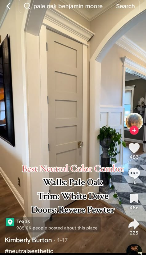 Tan Doors And Trim, Modern Farmhouse Wall And Trim Colors, Painted Doors And Trim Hallway, Painted Trim With White Walls, Doors Painted Different Than Trim, White House Brown Door, Interior Door Colors With Wood Trim, Door Color Ideas Interior, Interior Door And Trim Paint Color Ideas