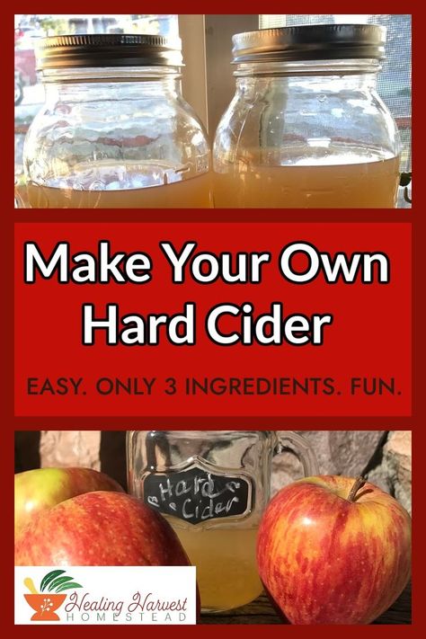 Have you ever wanted to try making your own Hard Cider? It is a lot easier than you think! Learn how to take apple cider and ferment it to make a delicious hard cider that you can drink any time. It is easy to make with only 3 ingredients. Why not give it a try? #hardcider #applerecipes #appleorchard #easyrecipe #fermentation Fermented Apple Cider, How To Make Apple Cider From Apple Juice, Canned Apple Cider, How To Make Hard Cider, How To Make Apple Cider, Hard Apple Cider Recipe, Hard Cider Recipe, Apple Cider Uses, Making Hard Cider