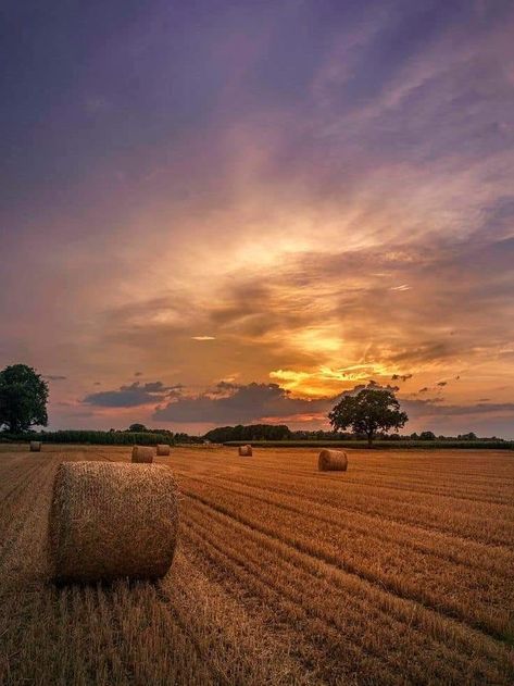 Bales Of Hay, Western Aesthetic Wallpaper, Sunset Landscape Photography, Country Sunset, Country Backgrounds, Country Photography, Corn Field, Field Landscape, Western Photography