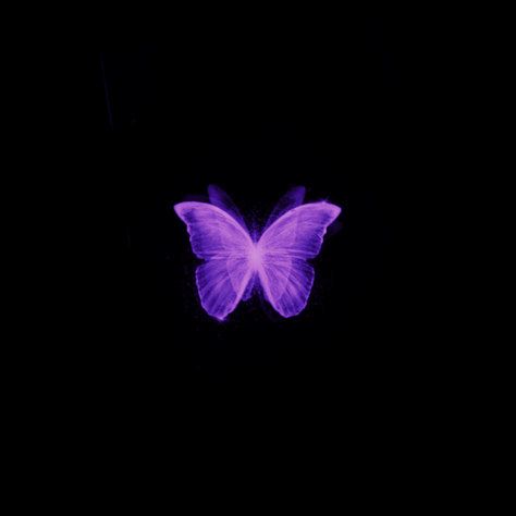 Purple Spotify, Purple Butterfly Wallpaper, Dark Purple Aesthetic, Aesthetic Content, Pretty Phone Wallpaper, Purple Themes, Playlist Covers, Edgy Wallpaper, Music Aesthetic