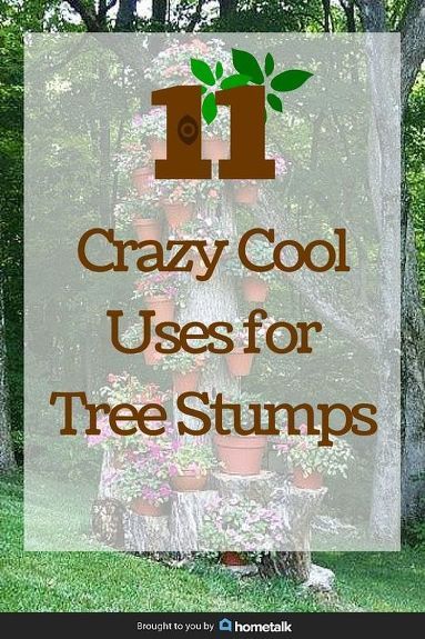 What To Do With Tree Stumps Ideas, Hollowed Out Tree Stump, Wood Stumps Ideas, Landscaping With Tree Stumps, Stump Ideas Landscaping, Landscaping Around Tree Stumps, What To Do With A Tree Stump, Things To Do With Tree Stumps, Tree Stump Garden Ideas