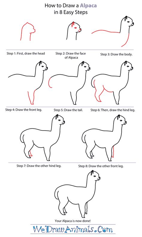 draw an alpaca within eight steps How To Draw Alpaca, How To Draw An Alpaca, Alpaca Drawing Easy, Llamas Drawing, Lama Drawing, Alpaca Images, Alpaca Drawing, Llama Drawing, Llama Arts